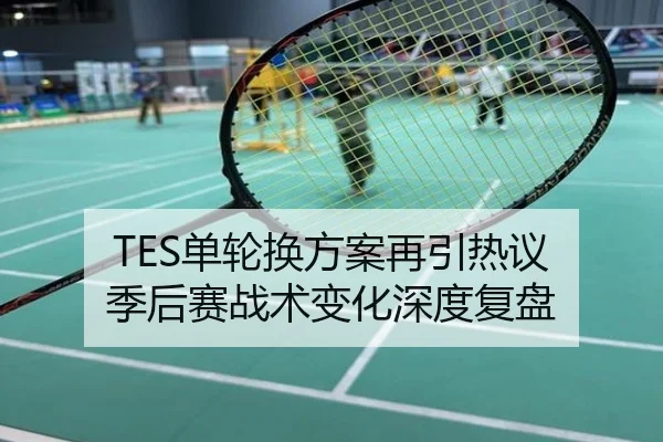 TES单轮换方案再引热议 季后赛战术变化深度复盘